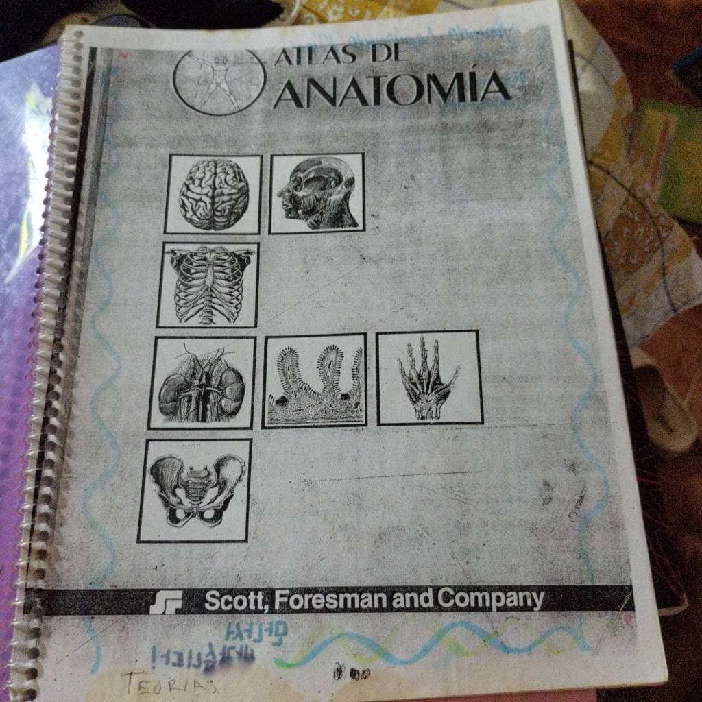 Atlas de anatomía