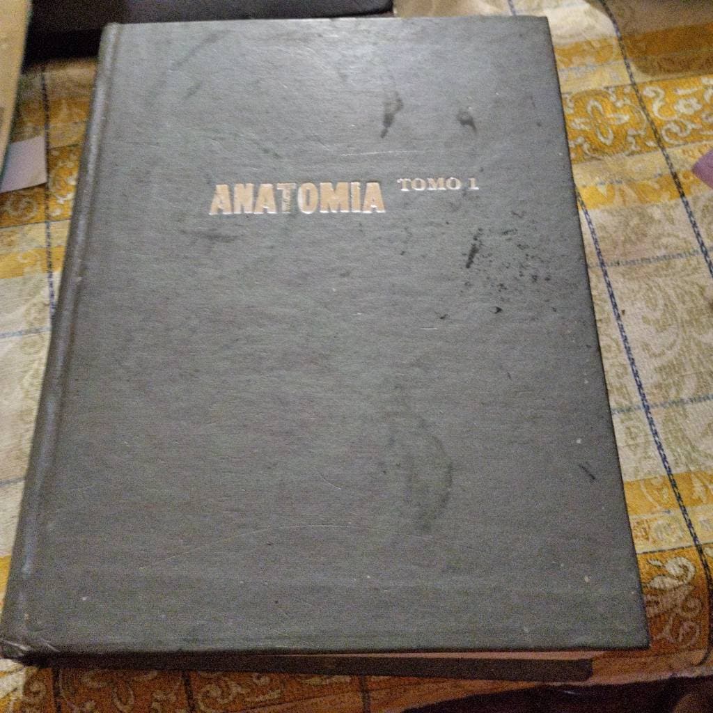 Anatomia Tomo 1